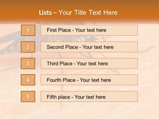 Calm Standing Wave PowerPoint Template
