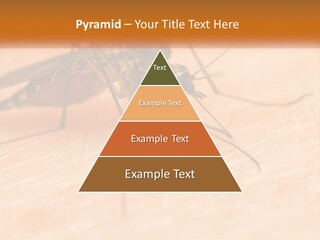 Calm Standing Wave PowerPoint Template
