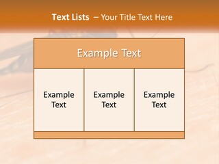 Calm Standing Wave PowerPoint Template