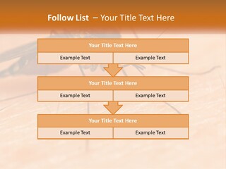 Calm Standing Wave PowerPoint Template