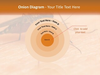 Calm Standing Wave PowerPoint Template