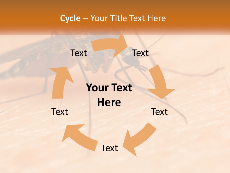 Calm Standing Wave PowerPoint Template