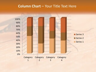 Calm Standing Wave PowerPoint Template