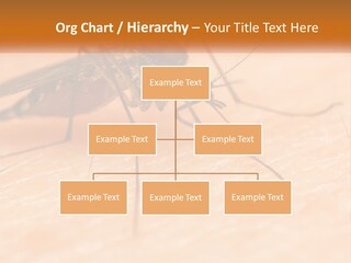 Calm Standing Wave PowerPoint Template