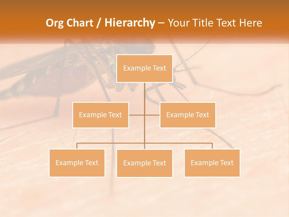 Calm Standing Wave PowerPoint Template