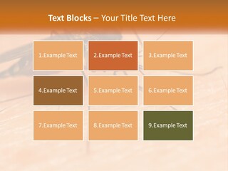 Calm Standing Wave PowerPoint Template