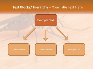 Calm Standing Wave PowerPoint Template