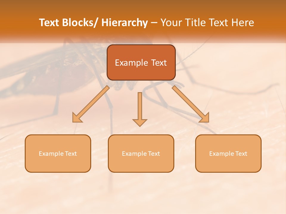 Calm Standing Wave PowerPoint Template