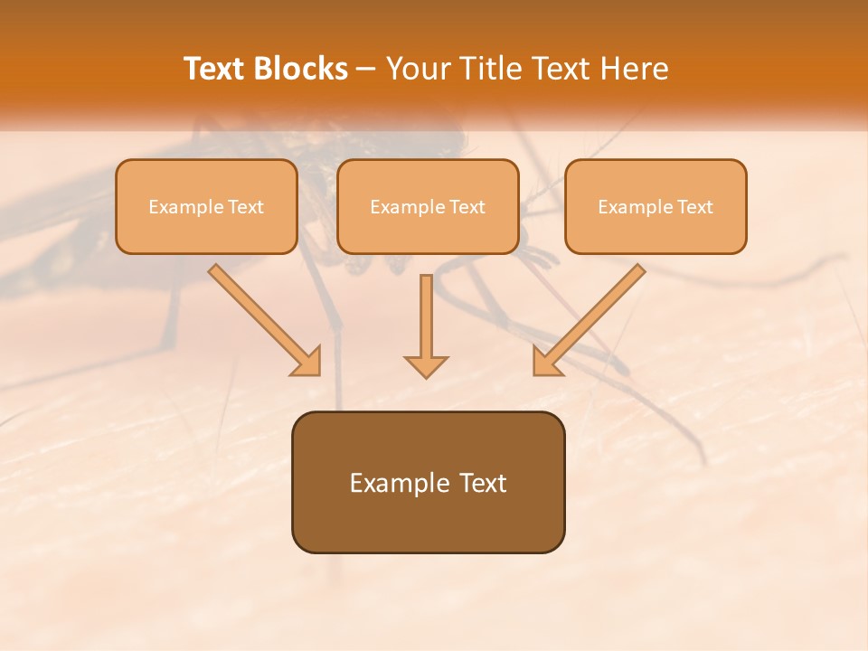 Calm Standing Wave PowerPoint Template