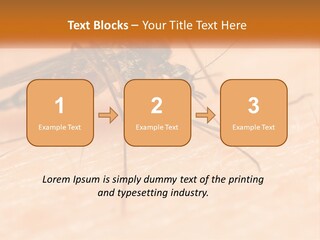 Calm Standing Wave PowerPoint Template