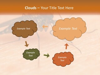 Calm Standing Wave PowerPoint Template