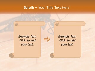 Calm Standing Wave PowerPoint Template