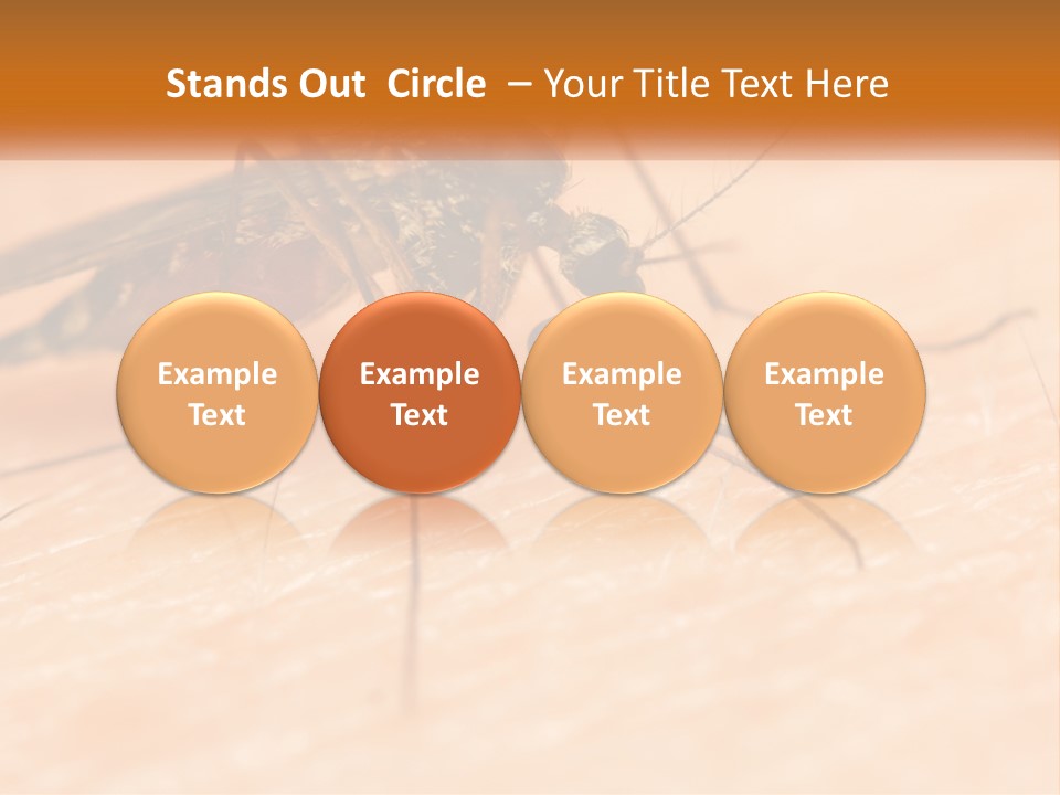 Calm Standing Wave PowerPoint Template