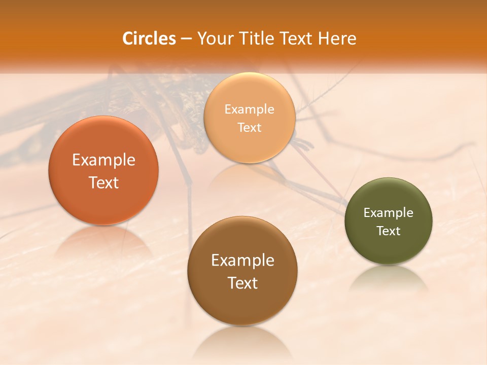 Calm Standing Wave PowerPoint Template