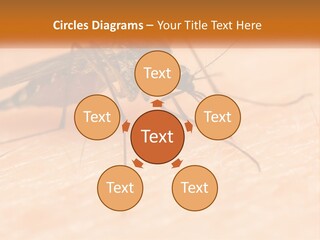 Calm Standing Wave PowerPoint Template