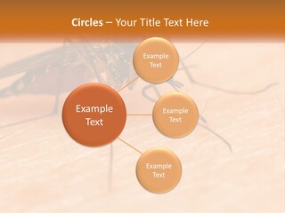 Calm Standing Wave PowerPoint Template