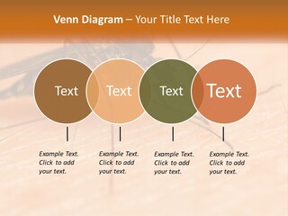 Calm Standing Wave PowerPoint Template