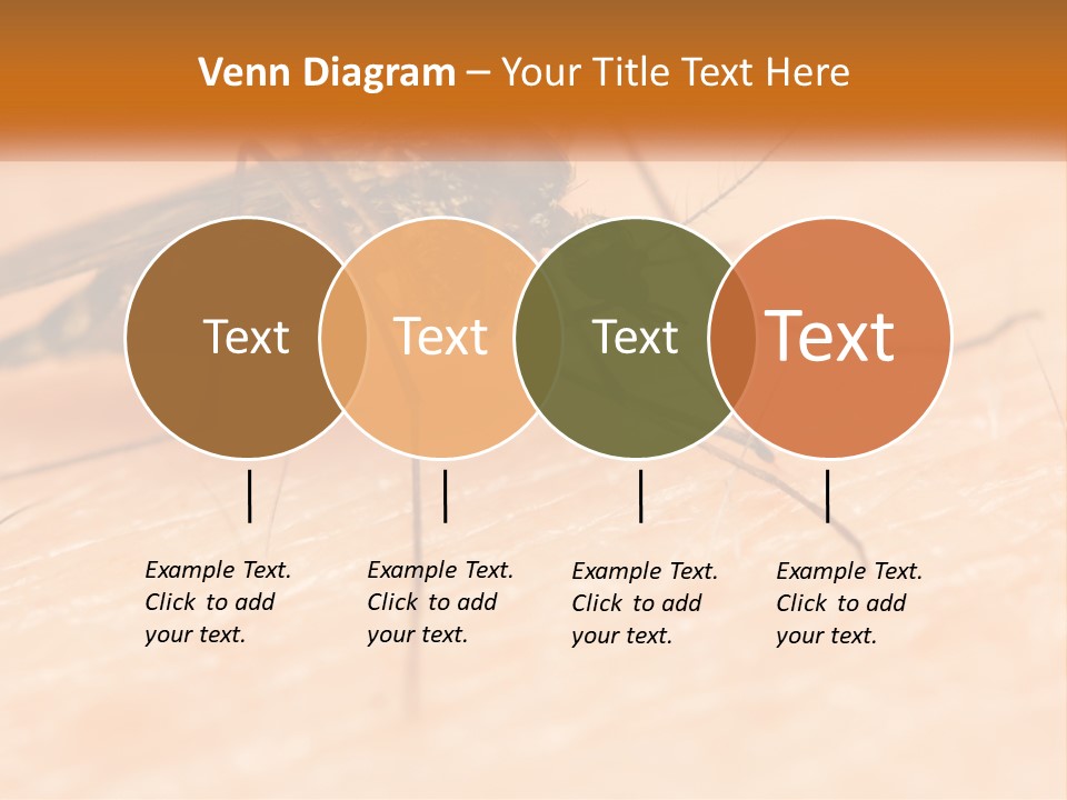 Calm Standing Wave PowerPoint Template