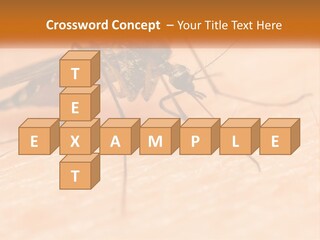 Calm Standing Wave PowerPoint Template