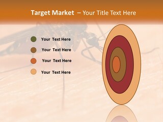 Calm Standing Wave PowerPoint Template