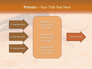Calm Standing Wave PowerPoint Template