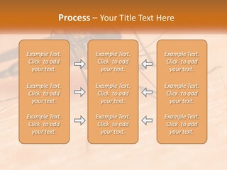 Calm Standing Wave PowerPoint Template