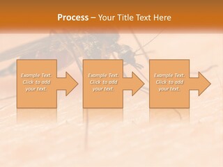 Calm Standing Wave PowerPoint Template