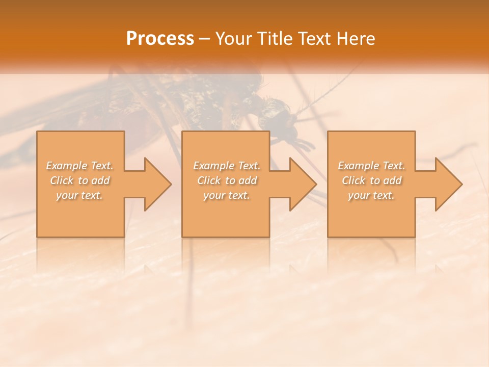 Calm Standing Wave PowerPoint Template
