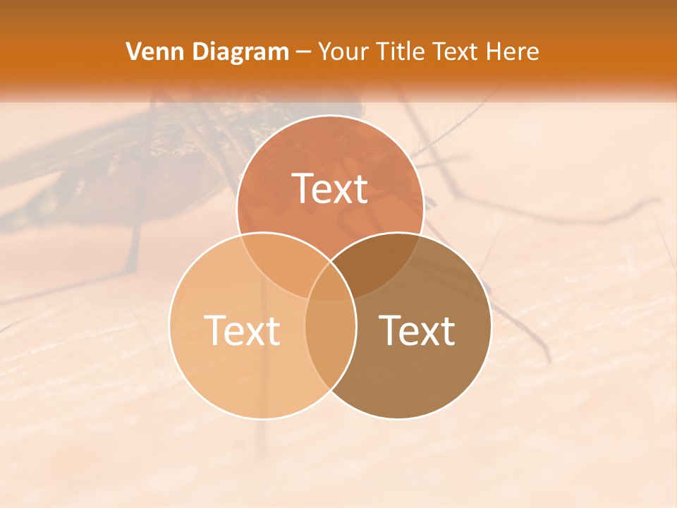 Calm Standing Wave PowerPoint Template