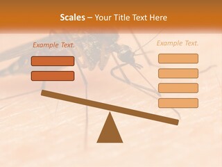 Calm Standing Wave PowerPoint Template