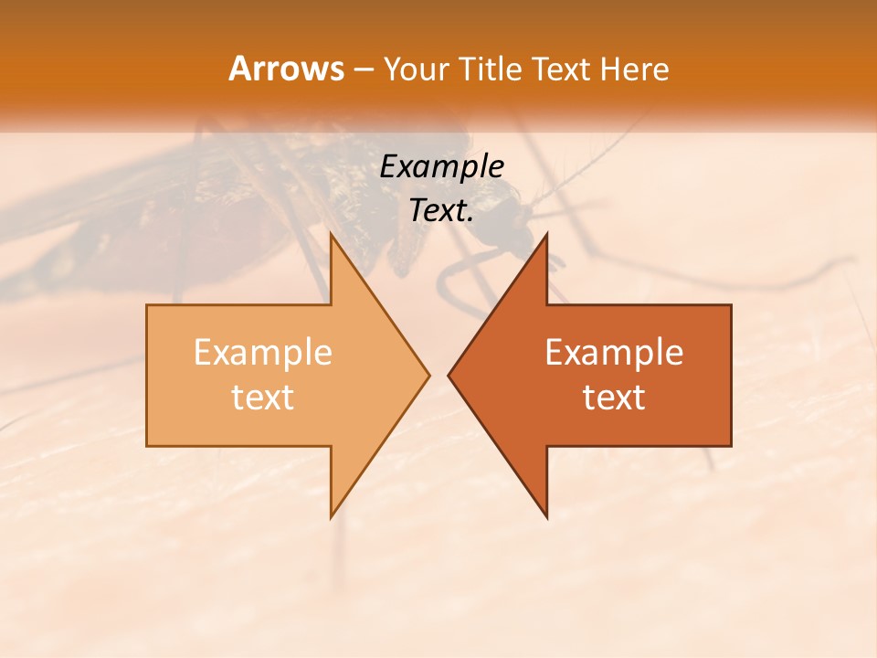 Calm Standing Wave PowerPoint Template