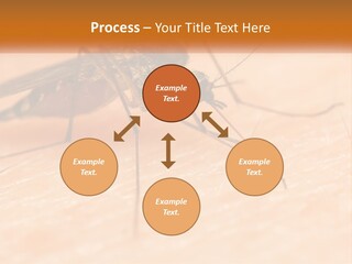 Calm Standing Wave PowerPoint Template