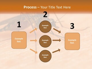 Calm Standing Wave PowerPoint Template