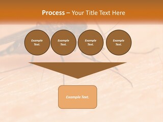 Calm Standing Wave PowerPoint Template