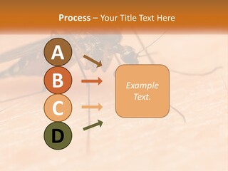 Calm Standing Wave PowerPoint Template