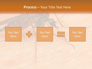 Calm Standing Wave PowerPoint Template