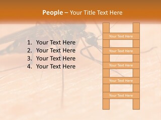 Calm Standing Wave PowerPoint Template