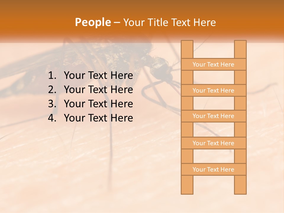Calm Standing Wave PowerPoint Template