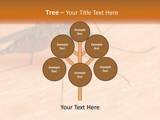 Calm Standing Wave PowerPoint Template