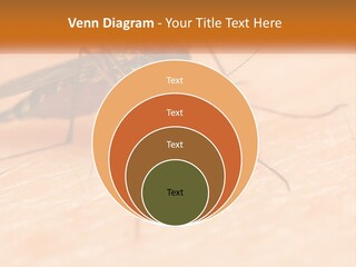 Calm Standing Wave PowerPoint Template