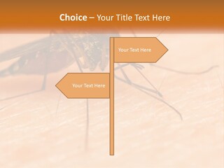 Calm Standing Wave PowerPoint Template