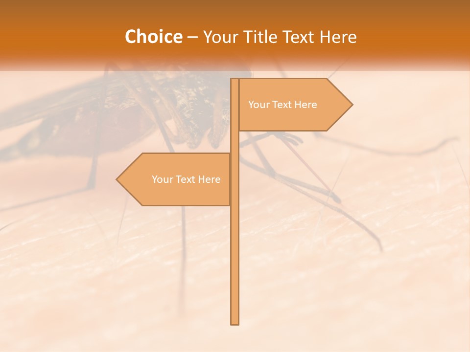 Calm Standing Wave PowerPoint Template