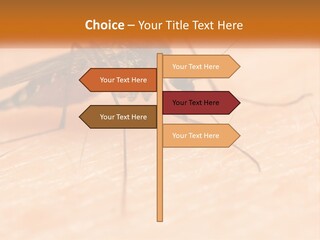 Calm Standing Wave PowerPoint Template
