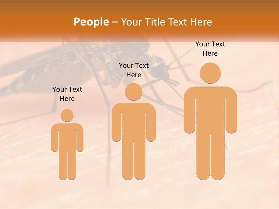 Calm Standing Wave PowerPoint Template