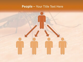 Calm Standing Wave PowerPoint Template