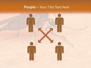 Calm Standing Wave PowerPoint Template