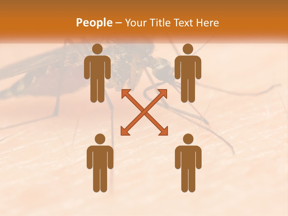 Calm Standing Wave PowerPoint Template