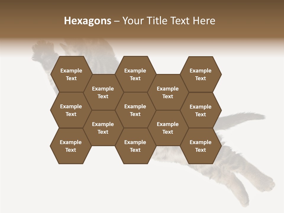 Coastal Beach Woman PowerPoint Template