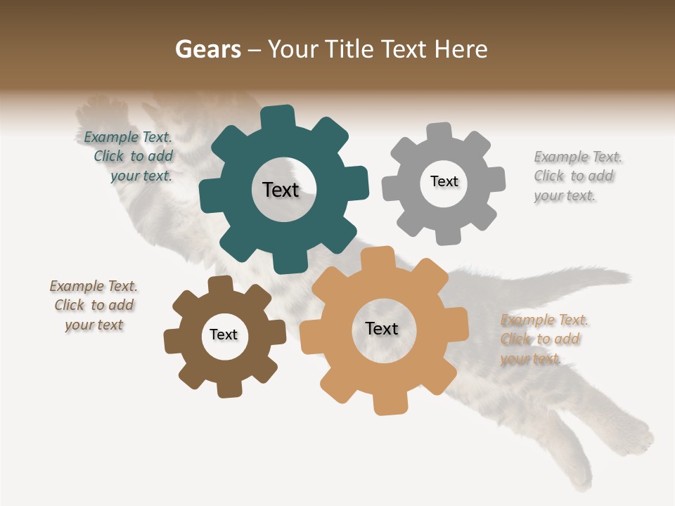 Coastal Beach Woman PowerPoint Template