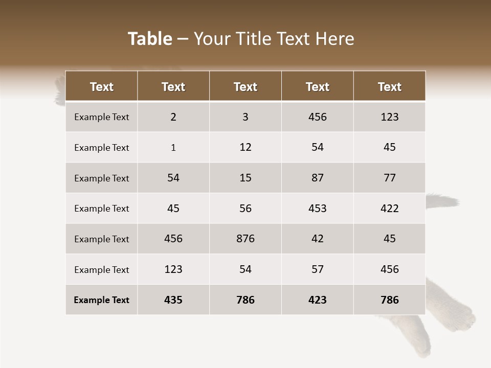 Coastal Beach Woman PowerPoint Template